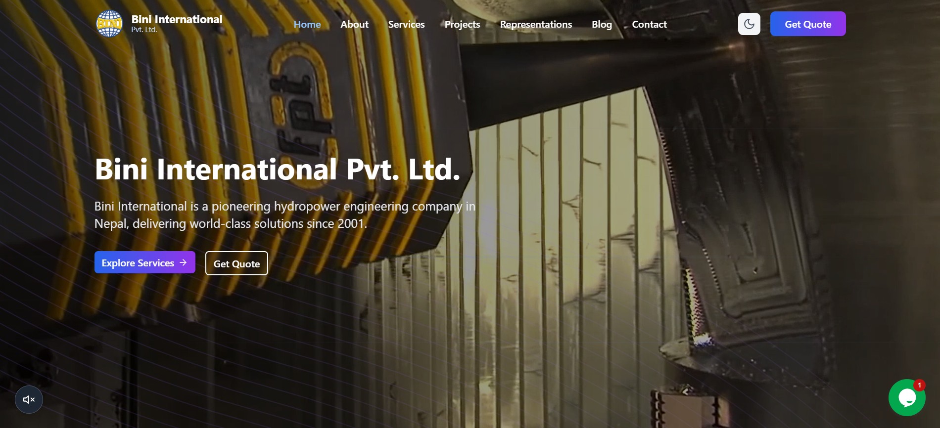 Bini International Website